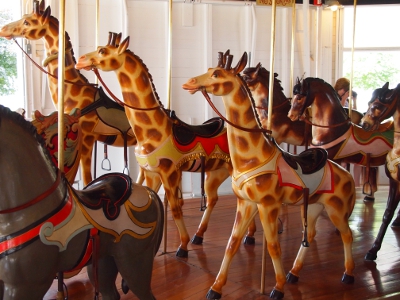 [Three giraffes with saddles in a row, increasing in size from the inner to the outer part of the ring.]