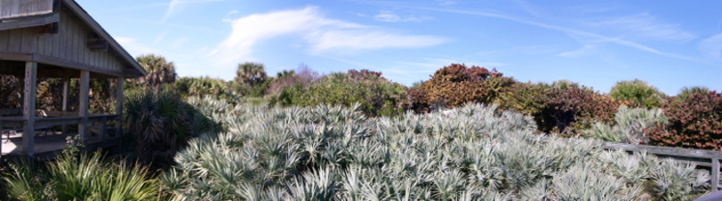 [Three photos stitched together. Lush vegetation from right to left with an elevated covered picnic shelter on the far left.]