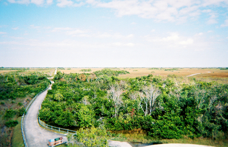 [Looking down at the paved trail to the tower and the tree tops near it. The sky is fairly clear and it appears one can see for miles. The land it very flat with mostly dried-brown vegetation.]