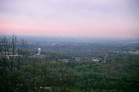 [Many trees with hazy buildings in distance and a white-domed building in the mid-distance.]