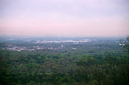 [Many trees with hazy buildings in distance.]