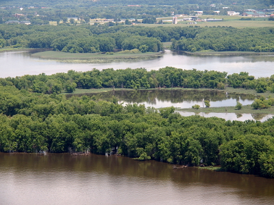 [Trees 20-30feet high seem to be growing out of the middle of the Mississippi River.]