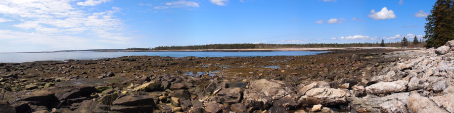 [Multiple photos stitched together showing exposed shore with many tide pools. To the right is lighter colored rock and some trees.]