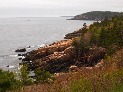 [Rocky, irregular coast with shrubbery in foreground and ocean in background.]