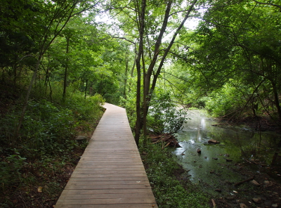 [Section of boardwalk through a heavily tree'd section beside water. The multitude of trees blocks the sun and darkens this image.]