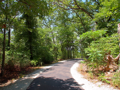 [Paved blacktop approximately six foot wide with approximately one foot of light-colored pea gravel at the edges. Plenty of 50-60 foot leaf-laden trees line the path with some shading it.]