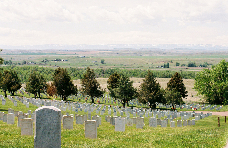 [Looking downhill at rows and rows of short white gravestones with rounded tops. The tree-line walkway in the middle of the cemetery is at the middle of the image.]