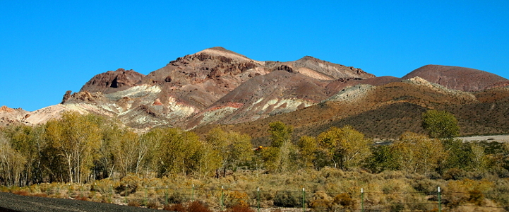 [These dirt and rock mounds are dark brown, tan, white, orange, and a shade of green as they sit above the white-barked yellow-green leafed trees near the side of the road.]