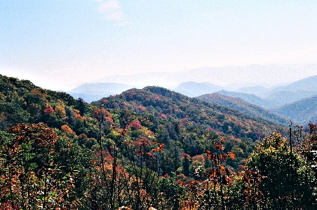 [Mountainside which appear to be in blue smoke (the reason the park was named as it is).]