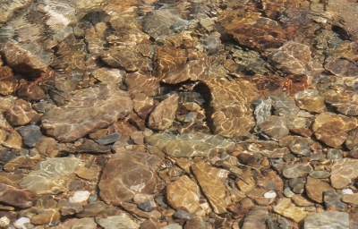 [Interesting, oval-like light reflections across rocks in a shallow stream bed.]