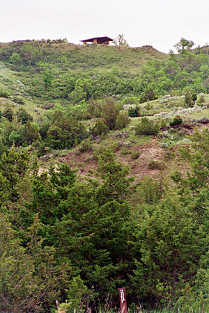 [A view from the trail back up at a picnic shelter.]