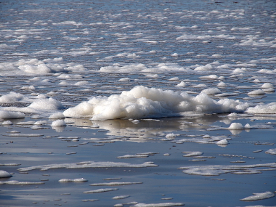 [View of the sand with many clumps of foam, some big but most are small.]