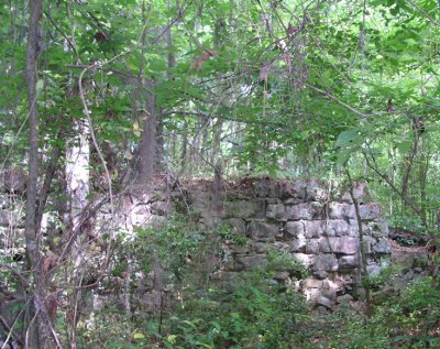 [Remains of a stone block wall in the forest.]