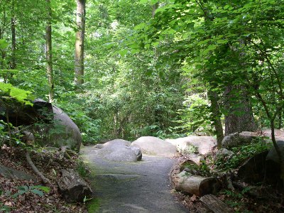 [A concrete path poured around small boulders in the forest.]