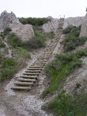 [The ladder one climbs as part of the trail.]