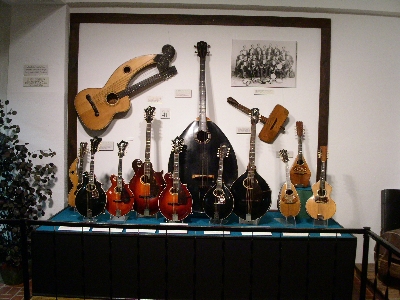 [Display with 13 different stringed instruments of varying color and size.]