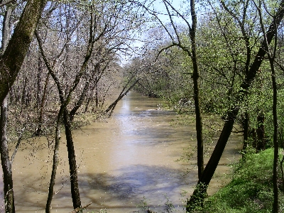 [View of creek on the grounds.]