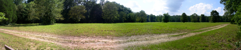 [Several photos stitched together to show the open expanse of grass that is surrounded by trees. There is a dirt trail around the outer edge of the meadow.]