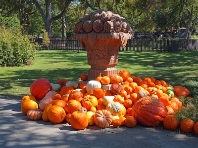 [A very large mound of gourds at the base of a 