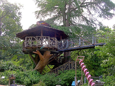 [Distant view of treehouse large enough to hold a group of adults.]