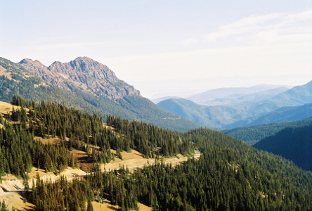 [View from Hurricane Ridge.]