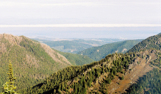 [A number of evergreen covered mountain tops. The one on the right has a patch of dirt with some downed trees in it.]