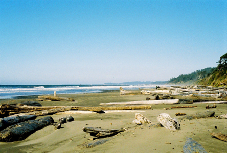 [Kalaloch Beach looking north.]