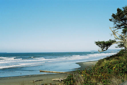 [One log on beach.]