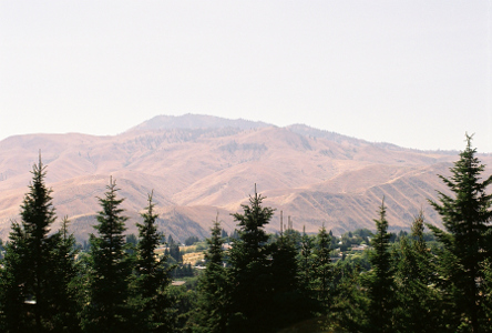 [Over the tops of the evergreens is a hazy brown mountain range.]