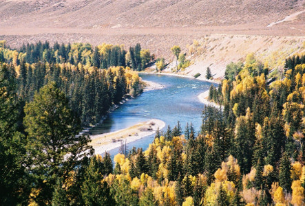 [Snake River in Grand Teton National Park.]